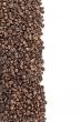 roasted coffee beans on a white surface 