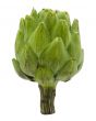 Whole Artichoke