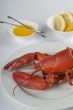 appetizing lobster dish