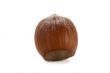 hazel nut