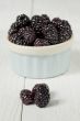 bowl full of blackberries
