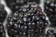 delicious blackberry fruit