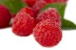 juicy raspberries