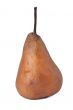 decaying pear