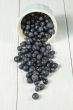 a bowl with spilled blueberries