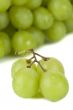 juicy green grape fruits