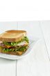 ham sandwich with toasted bread on white plate
