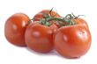  fresh tomatoes