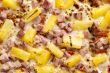 macro shot of hawaiian pizza