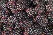 heap of blackberries 