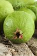guava