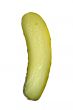 pickled cucumber