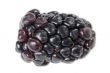 blackberry 
