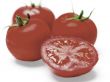 three and a half tomatoes