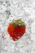 image of strawberry on ice cubes