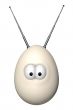 egg with antenna