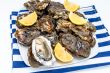 Oysters