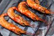 Shrimp grilled