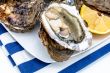 Oysters