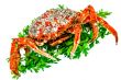 Spider Crab