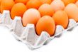 Egg in a carton