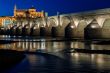 Mezquita and roman bridge