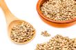 Green lentils