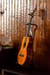 Spanish guitar