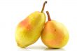 Yellow pears on a white background