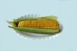 ear of corn