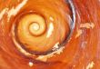 Spiral on the maroon stone