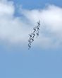 Demonstrative performance of Italian aerobatic team at the air s