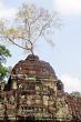 Angkor,Cambodia