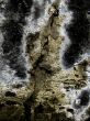 close up image of a textured wall