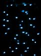 blur view of blue halloween neon lights