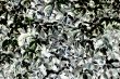 bush texture