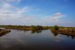 River Delta in the spring.