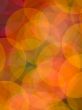 orange light