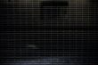 security grate
