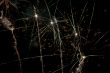 Jumbled Fireworks