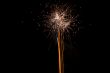 orange exploding dandelion