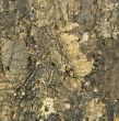 old wooden texture
