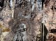 mural abstract