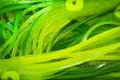 Large Green Squid Fishing Lures