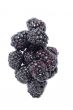 raspberries
