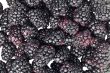 scattered blackberries