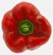 red bell pepper