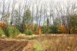 Plowed field at the edge of the forest