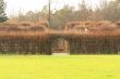 Decorative trellis