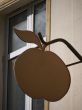apple-shield